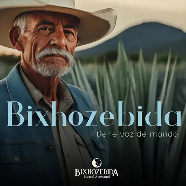 cover-bixhozebida-1
